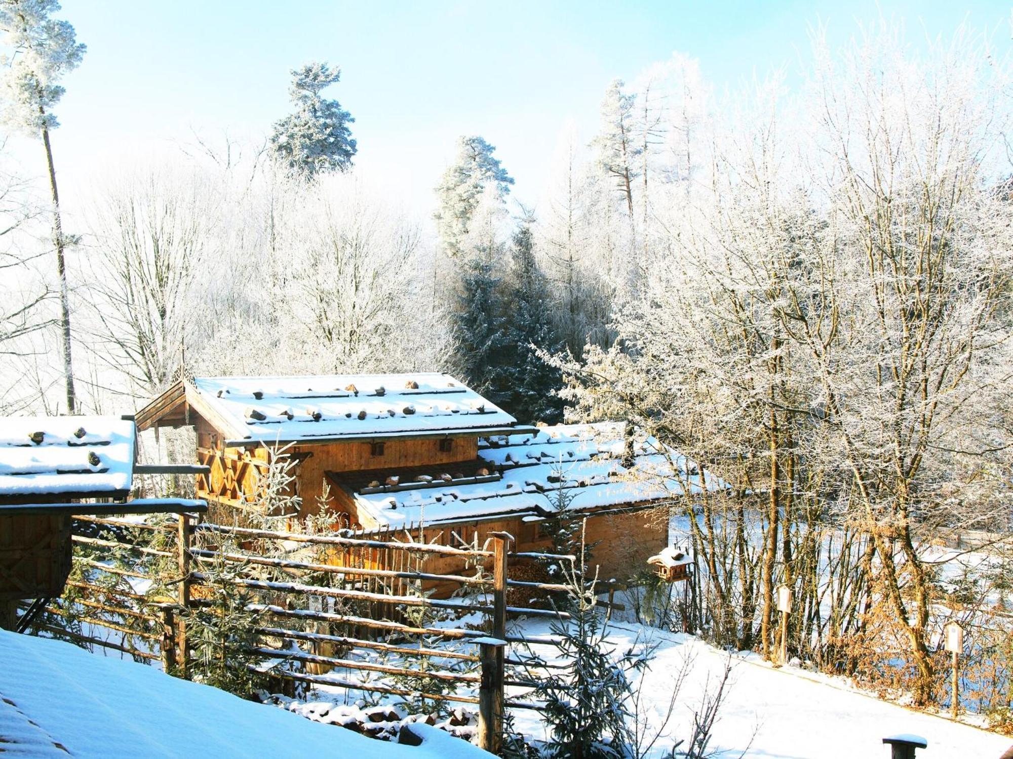 Eco Friendly Chalet Near The Lake In Asten Тіттмонінг Екстер'єр фото